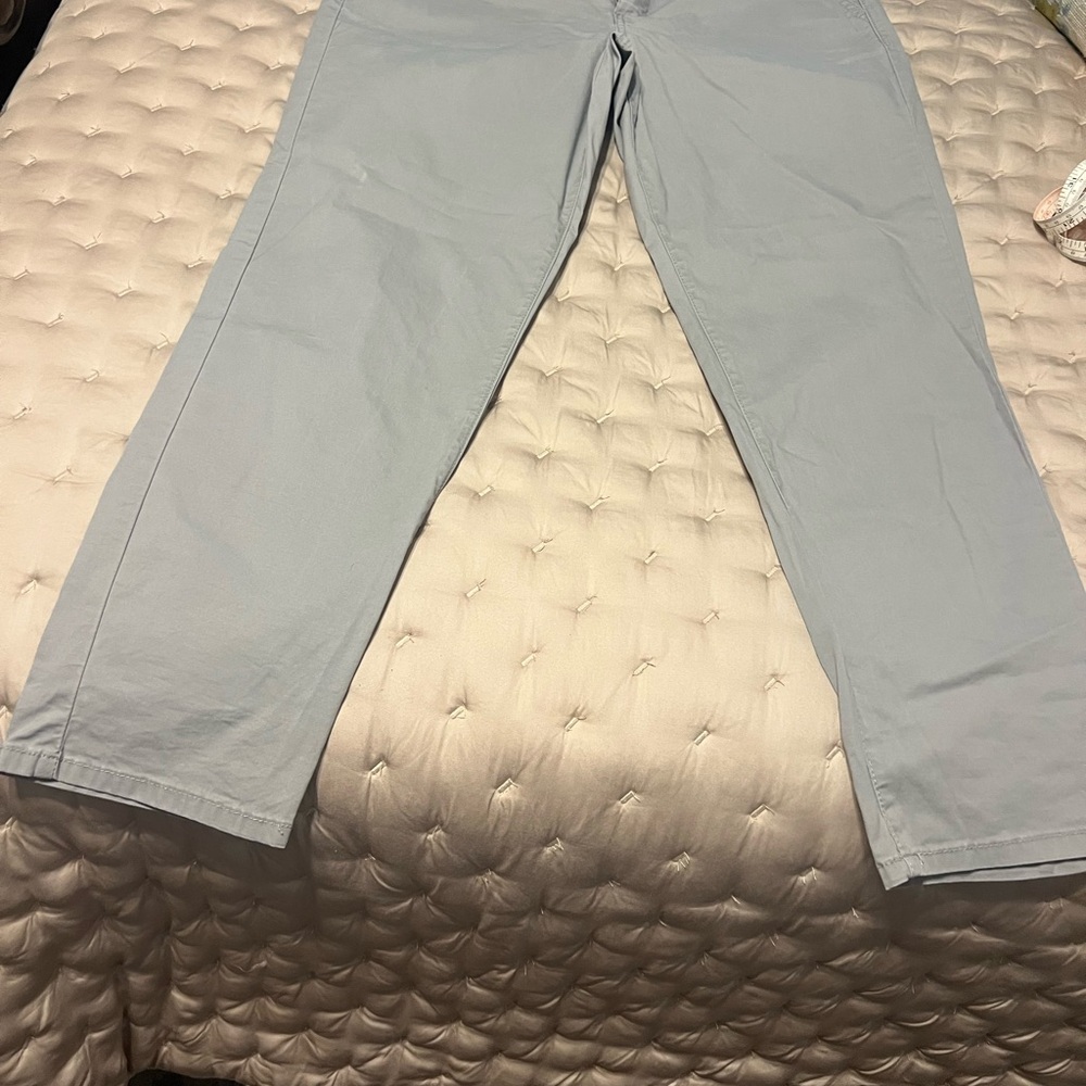 Curve Appeal Light Gray Chinos